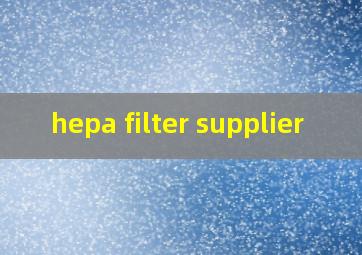 hepa filter supplier